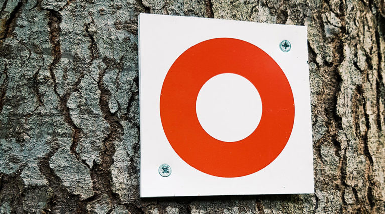 target posted on a tree